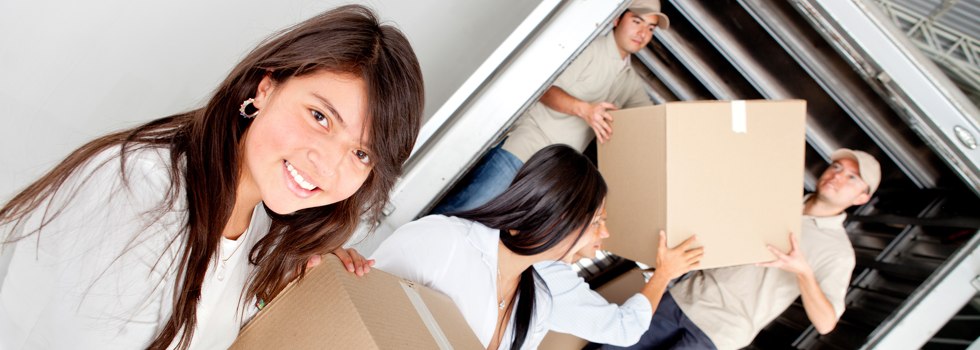 Professional Removalists Bogong